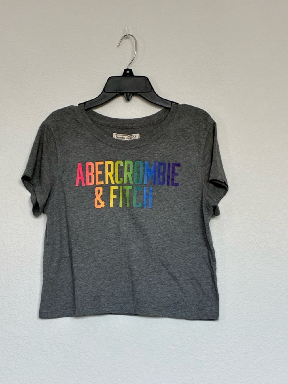 Abercrombie & Fitch Rainbow Logo Tee Gray Cropped T-Shirt XS Pride Graphic